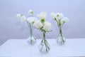 Decor floral elegant în alb
